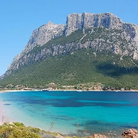 Classic Olbia